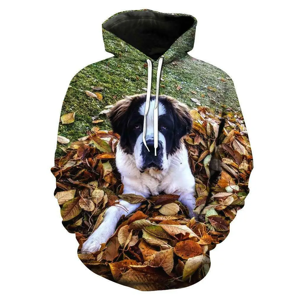 

2020 Autumn New Fashion Brand Clothing Saint Bernard Dachshund Crewneck 3d Print Unisex Harajuku Long Sleeve Pullovers