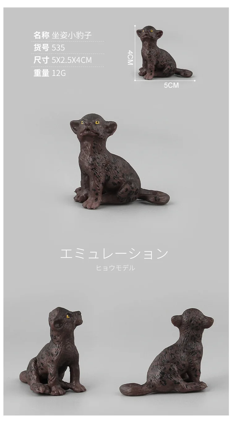 9109430295_1793268619