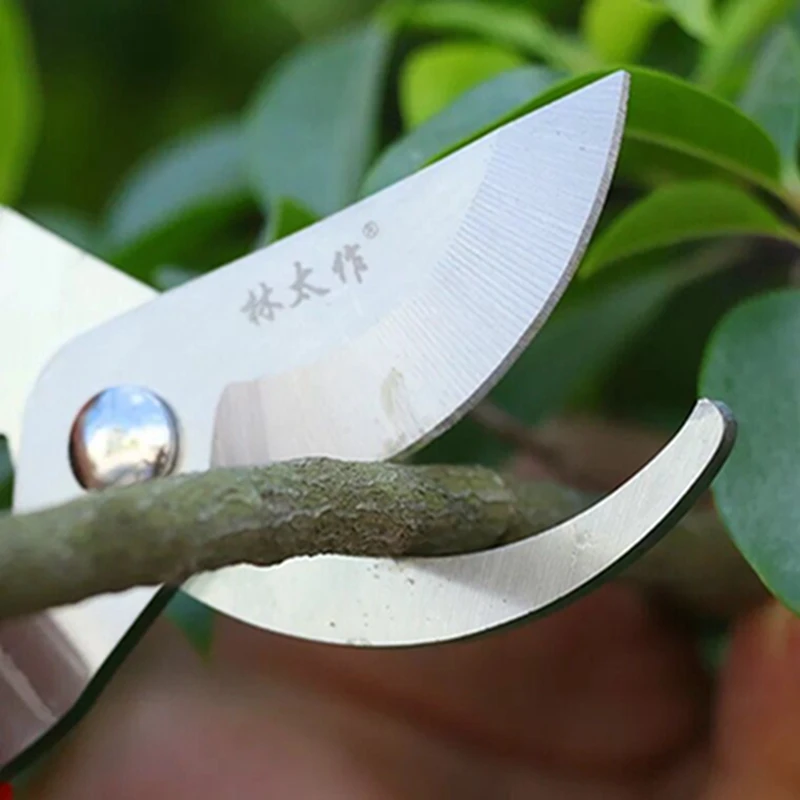 Metal Steel Garden Scissors Pruning Shears Scissor Orchard Flower Branch Fruit Tool Scissors Secateurs for Garden Tree (3)