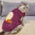 MPK Store Tempura Cat Clothes, Прекрасный Японский Свитер Tempura Cat, Зимняя одежда Shrimp Tempura Cat