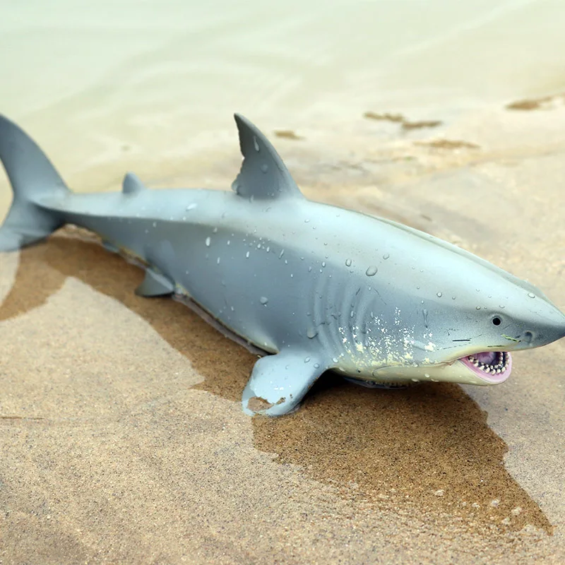 Oenux достаринный морской Океанский Megalodon Lamnidae фигурки дикарь большая акула SeaLife животные модель ПВХ Коллекция детская игрушка