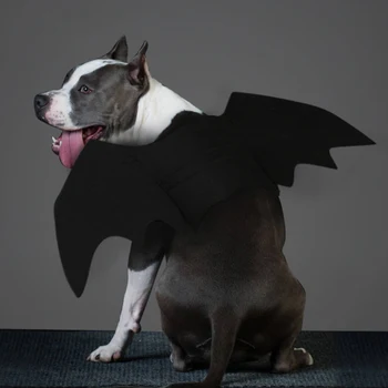 

2020Halloween Pet Clothes Bat Wing Costume Cool Costume Black Bat Wings for Dogs Cosplay Cats Puppies Kittens in stock