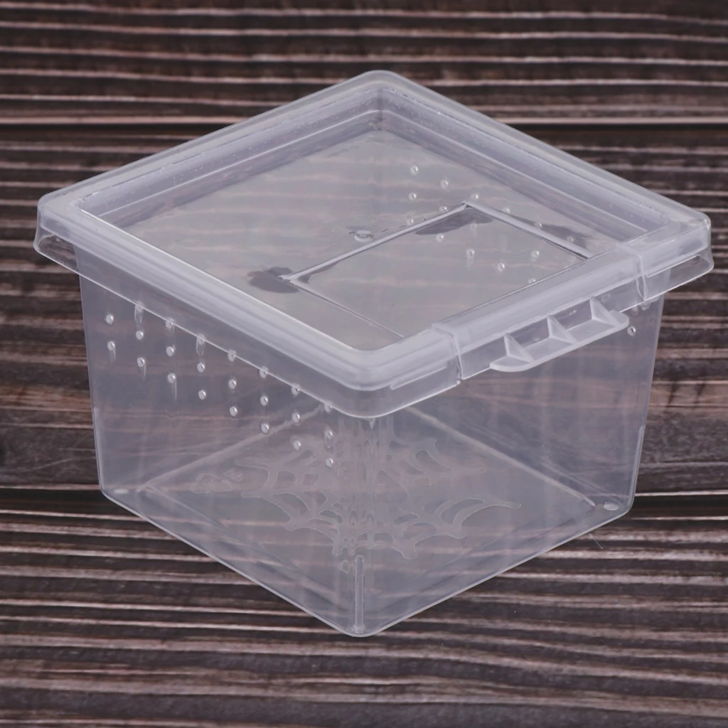 10pcs Feeding Box Reptile Cage Hatching Container Rearing Tank for Lizards Terrarium Tortoise Spider Beetle Insect House