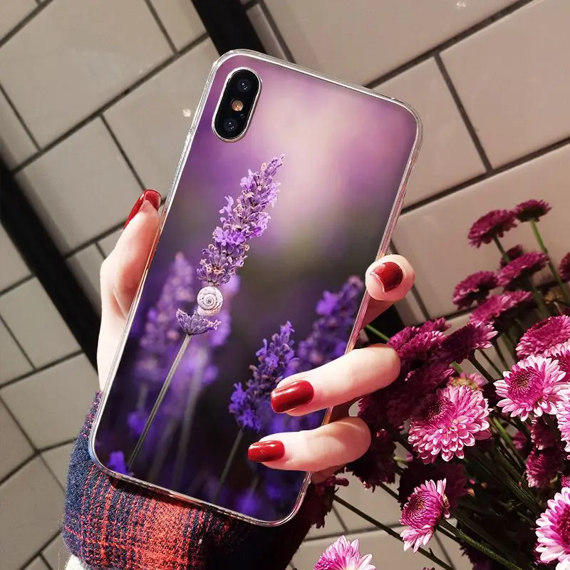 Simple lavender Purple flowers