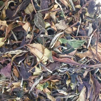 

R China More than 3 years Old High mountains Wild White Tea AAA Chinese 2015 year Shou Mei tea Zheng He Mountain ShouMei tea