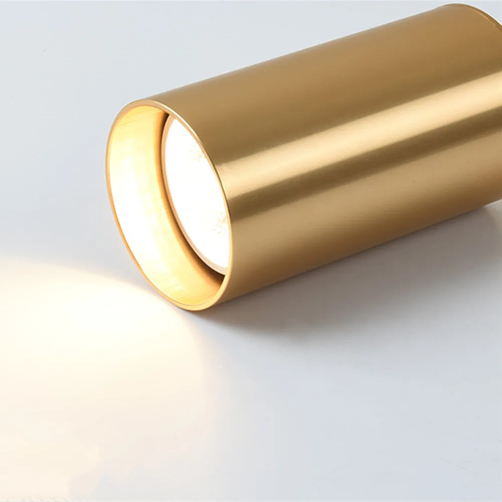 led downlight  (1)