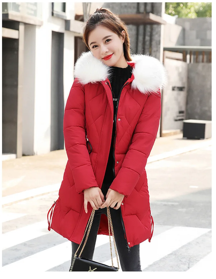 Cotton2_19.jpg