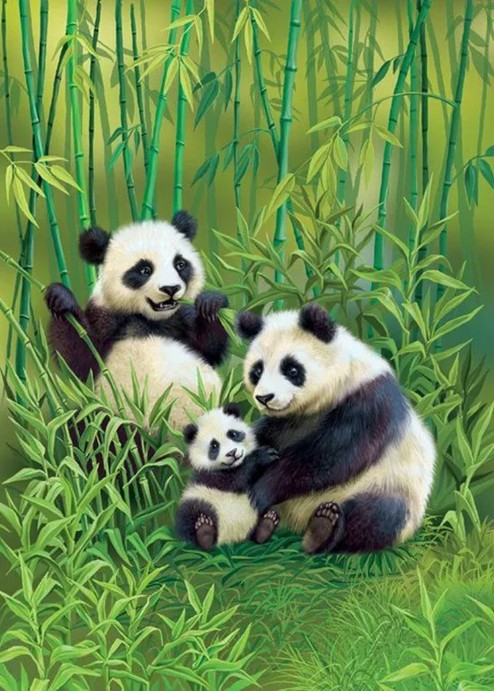 5D DIY Алмазная вышивка с изображением панды животных алмазная живопись вышивка крестиком полная квадратная дрель стразы украшение детский подарок - Цвет: Q