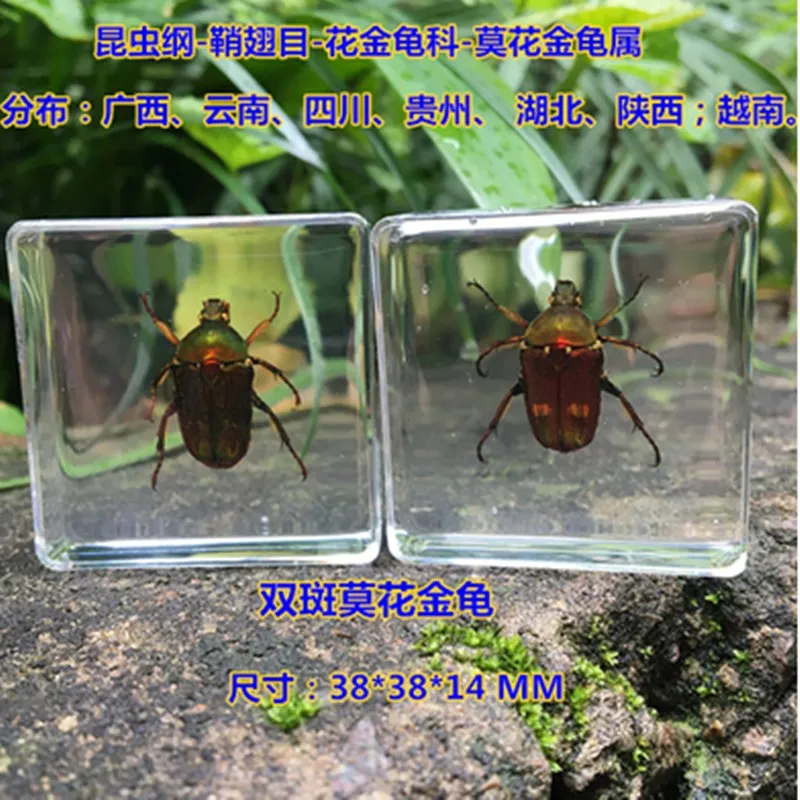 QQ图片20191007175914_副本