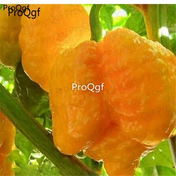 

ProQgf 5000Pcs A Set Yellow Carolina Reaper