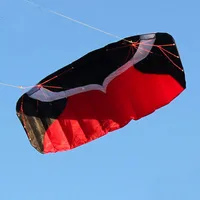 Professional 2m Stunt Dual Line Parafoil Kite With Line Power Braid Sailing Kitesurf  Sports Beach With Tools 1