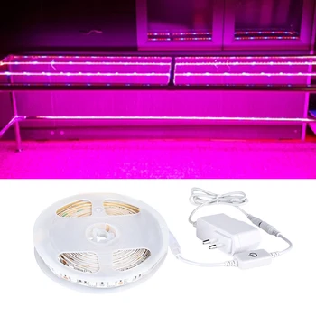 

Full Spectrum LED Strip Plant Grow Lights Phyto Lamp 1-5m IP33 IP65 Waterproof Red Blue Tape Grow Box Tent DC 12V Power Adapter
