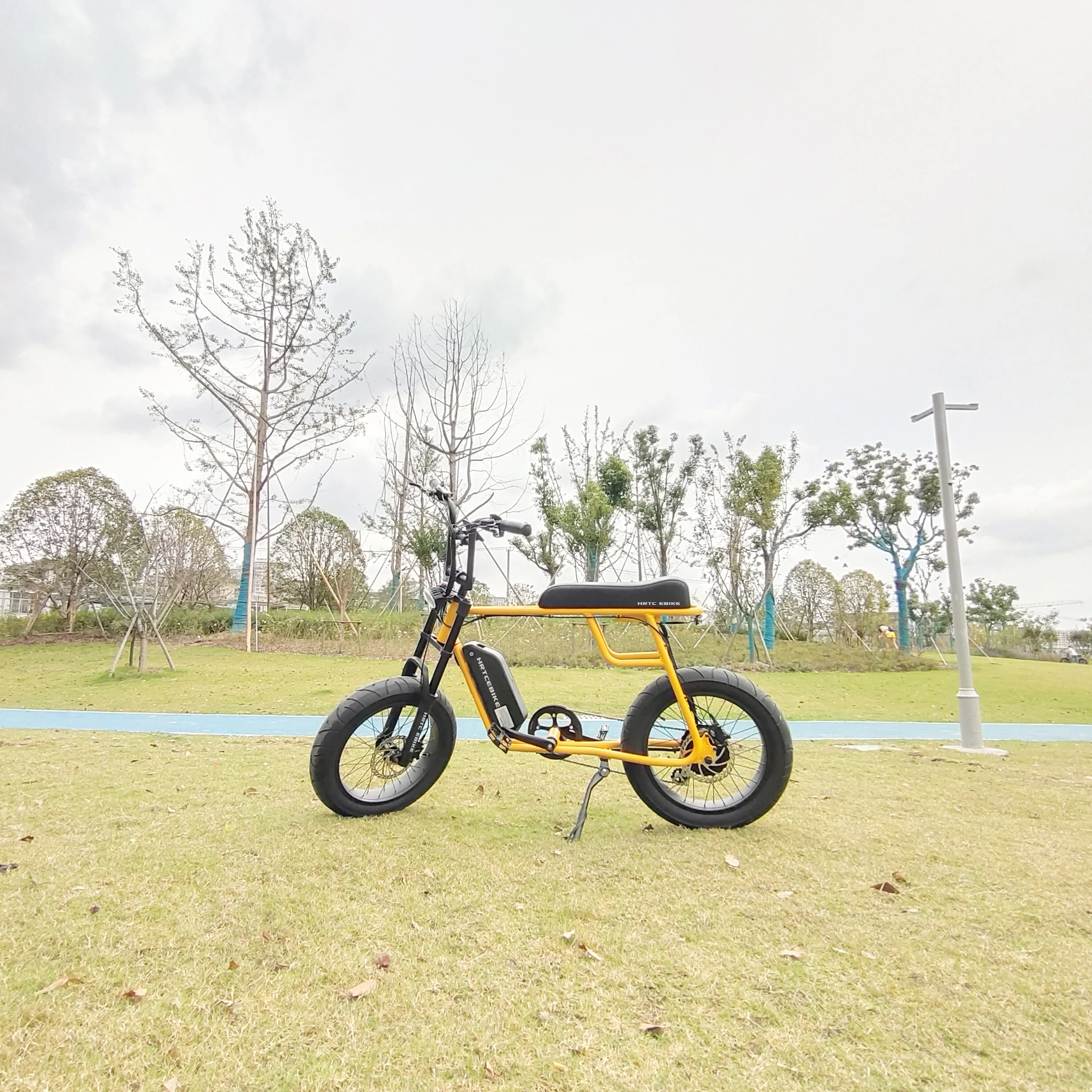 ATV 20 дюймов fat ebike 48V 1000w BAFANG мотор супер мощный Электрический Ebike Ретро дизайн 7