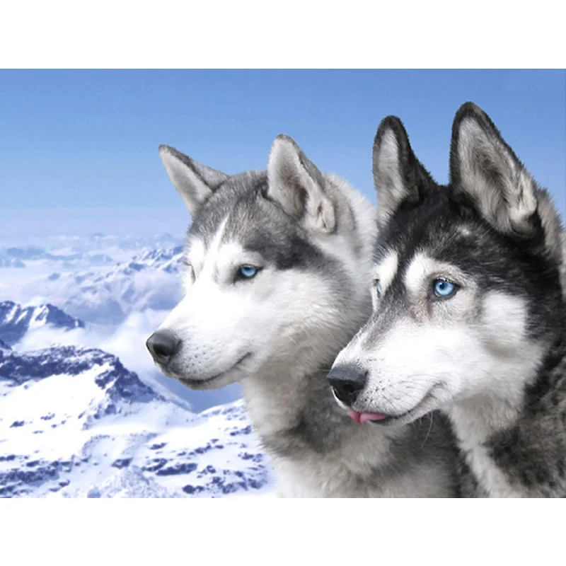 Алмазная живопись 5D алмазная вышивка сделай сам квадратная/круглая мозаика с