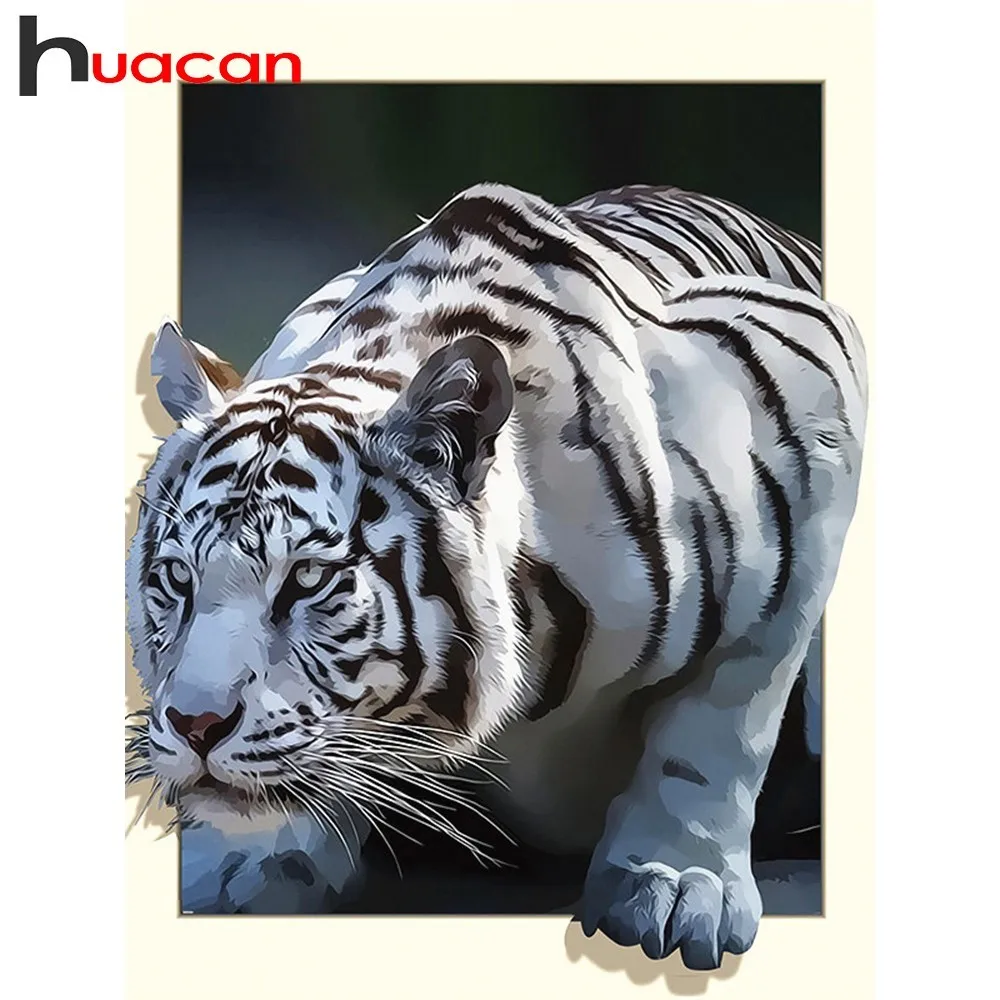 www.aliexpress.com