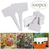 100pcs 6x10cm Garden Labels Gardening Plant Classification Sorting Sign Tag Plastic Garden Pots & Planters Plant Markers