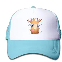 TSDFCMesh бейсболка Snapback Головные уборы коала медведь любовь мальчик-девочки, SkyBlue, один размер