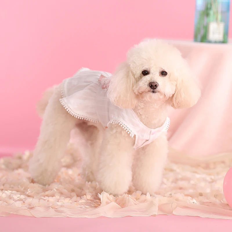 HOOPET Clothes For Small Dogs Princess Dress For Dogs Lace Tullle Pet Dress York Dog Clothes Cat Bargains Comfortable Dog