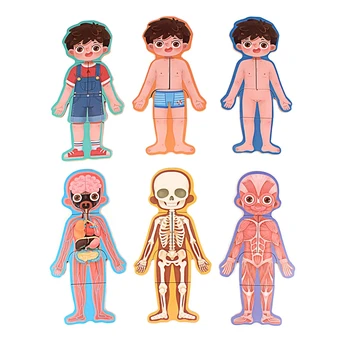 

Kids Protection Education Puzzles Wooden Human Structural Bone English Commentary Baby Boys Girls Inaccessible Part Puzzle Toys