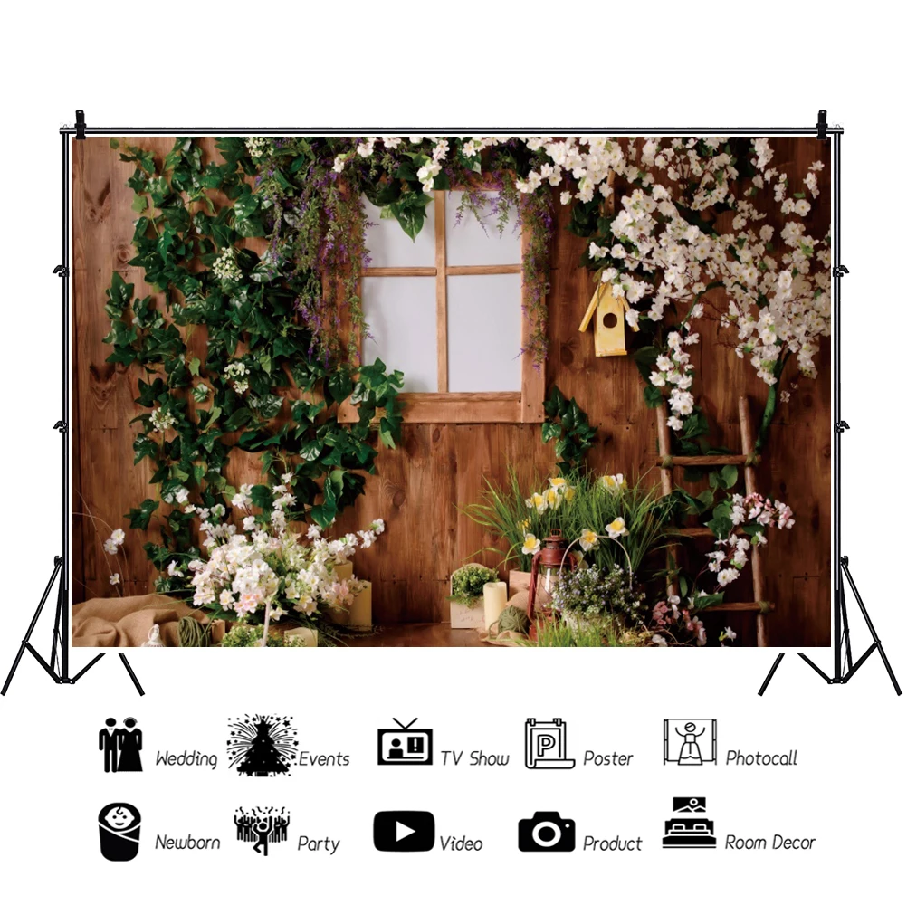 Ȱ  ʻȭ Ƽ  Photocall   Photophone  Ͽ콺     Ʃ