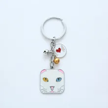 Стиль Турецкая Ангорская цепочка для ключей на заказ металлический брелок для ключей с домашним животным кулон в виде капли масла напрямую от производителя продажи