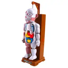 Modèle de corps humain réaliste, tête de mort, fête, Gags, jouets scientifiques, Puzzle, farces