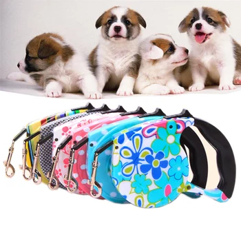 

5M Retractable Dog Leash Small Medium Dogs Leashes Automatic Running Walking Extending Pet Leash Roulette Colorful Strap For Dog