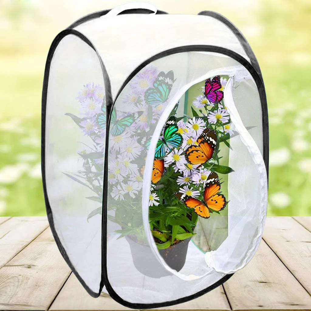 Clear Window Panel 35.5 Inches Tall Collapsible for Storage Cage with Large Zipper Opening CUSFULL Insect and Butterfly Habitat Terrarium 