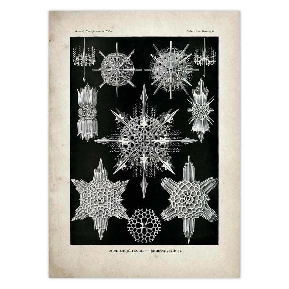 H576036e00c5345a7850494d6996f9b247