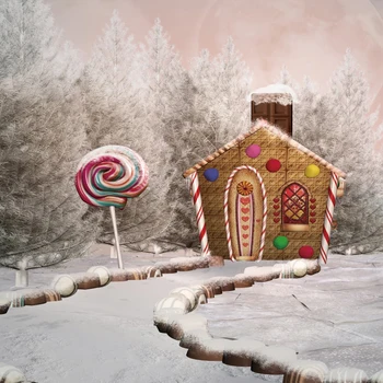

Laeacco Winter Cartoon Fairytale Lollipops Forest House Party Doll Child Portrait Photo Background Photo Backdrop Photo Studio