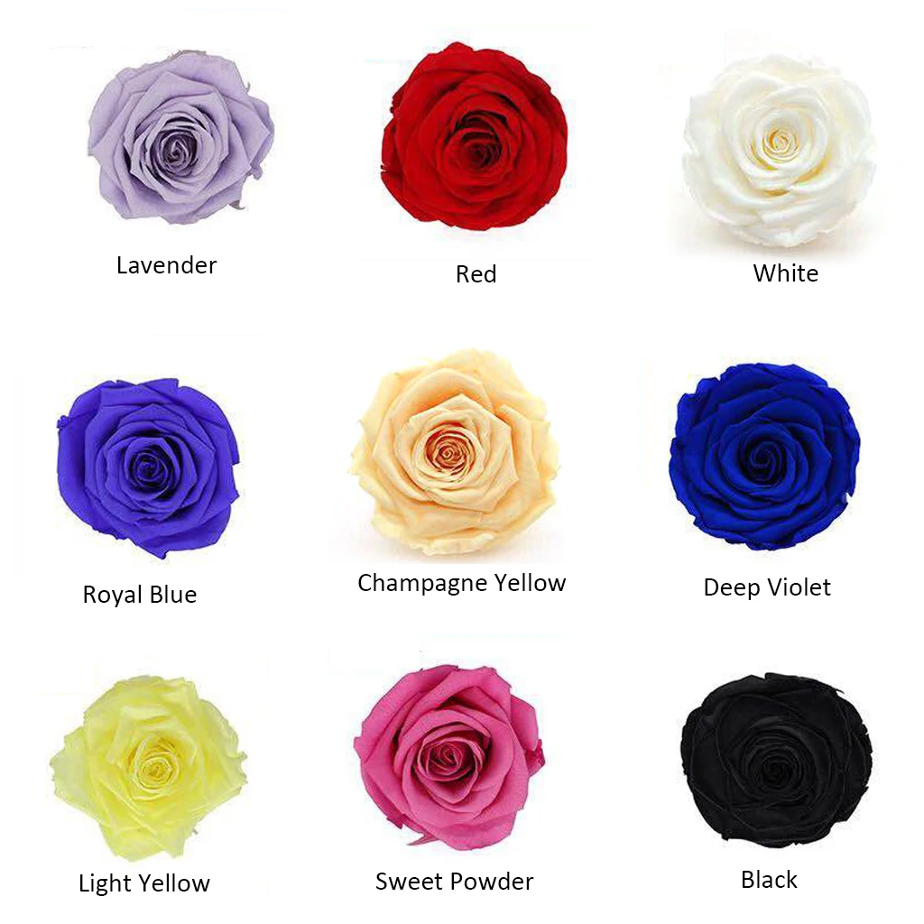 Koop 8 stks doos Eeuwige Bloem Kwaliteit Bewaarde Bloemen Onsterfelijke Rose 5cm Diameter Eeuwige Leven Bloem Blik Bloemen Onsterfelijke Rose