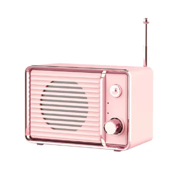 portable tv speakers wireless
