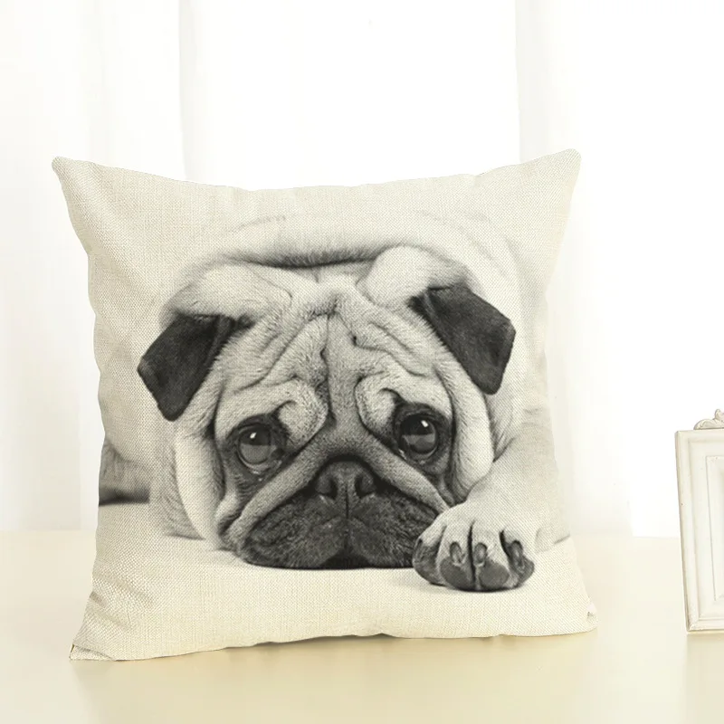 8887099603_1255064235