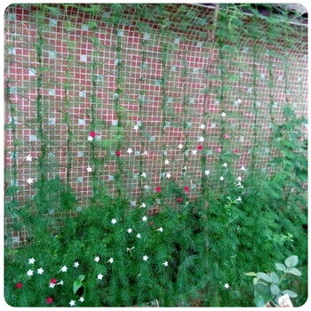 

1PC Useful Green Networks Flower Garden Support Nets Vines Petunia Nylon Trellis Net Potted Plant Nets Grow Fence Anti bird Net
