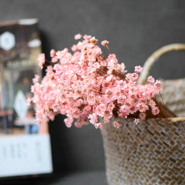 60pcs Natural Eternal Rose mini star flowers Dried Flower Bouquet for Wedding Party Home Decoration accessories Display flower | Дом и сад