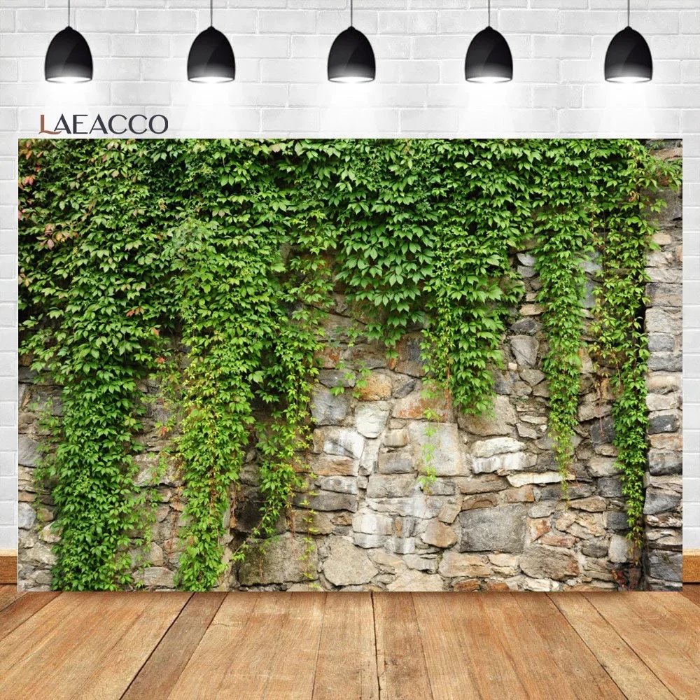 Laeacco    ܵ ׷  ʻȭ    ,  ,   Ʃ
