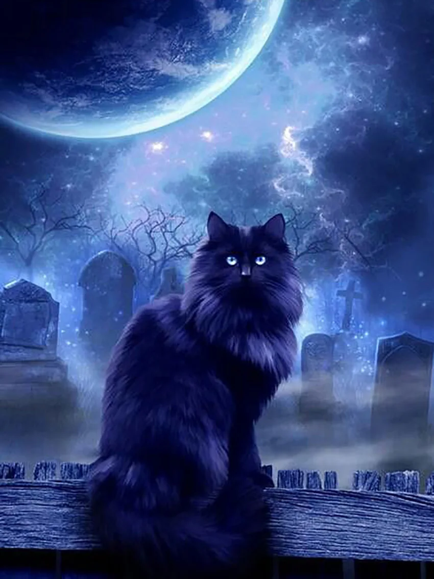 ZOOYA 5D DIY Алмазный вышитый Ночной лес Луна черная кошка Алмазная картина вышивка крестиком полная дрель Мозаика Украшение BK449 - Цвет: BK449-7