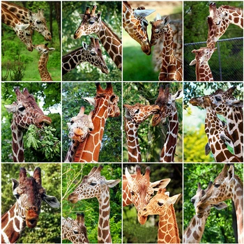 

Evershine 5D DIY Diamond Painting Giraffe Animals Diamond Embroidery Cross Stitch Rhinestone Mosaic Crafts Kit Home Decoration