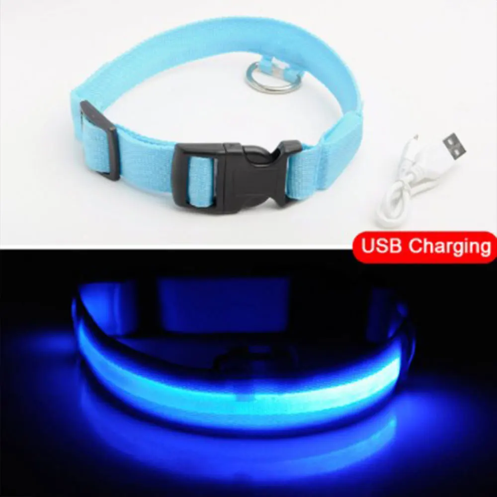 blue Перезаряжаемый мигающий ночной ошейник для собак, USB светящийся Регулируемый ошейник для питомцев, светодиодный светильник для зарядки, светящийся ошейник для кошек - Цвет: blue