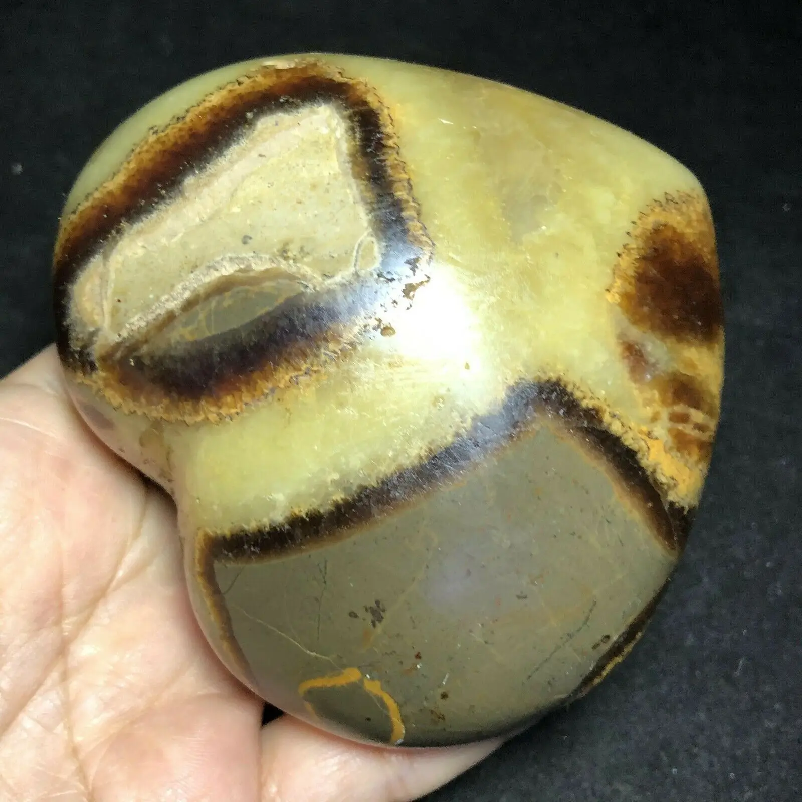 

Natural Heart-Shaped Turtle Back Stone With Gem Aura for healing