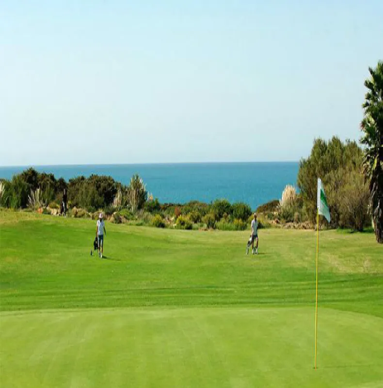 Golf Hole Cup 304 из нержавеющей стали с зеленым отверстием для профессионального поля для гольфа Engineering Green Hole Cup Db009-1
