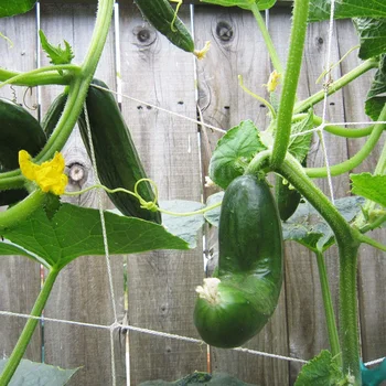 

New 1Pcs Grow Frame Flower Vine Garden Weaving Plant Climbing Net Vegetable Polyester Support Cucumber Trellis Netting Mesh Land