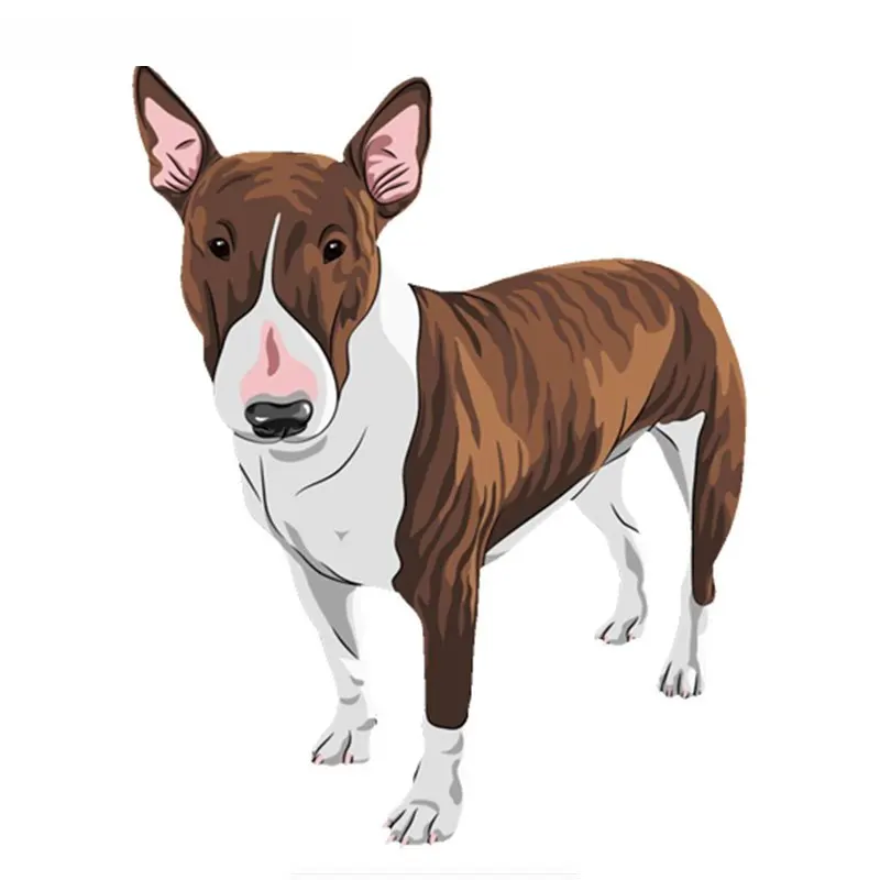 

SZWL Cartoon English Bull Terrier Pit Bull Car Sticker Colorful Decals Automobile Motorcycle Accessories Stickers PVC,16cm*13cm