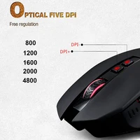 Computer Peripherals