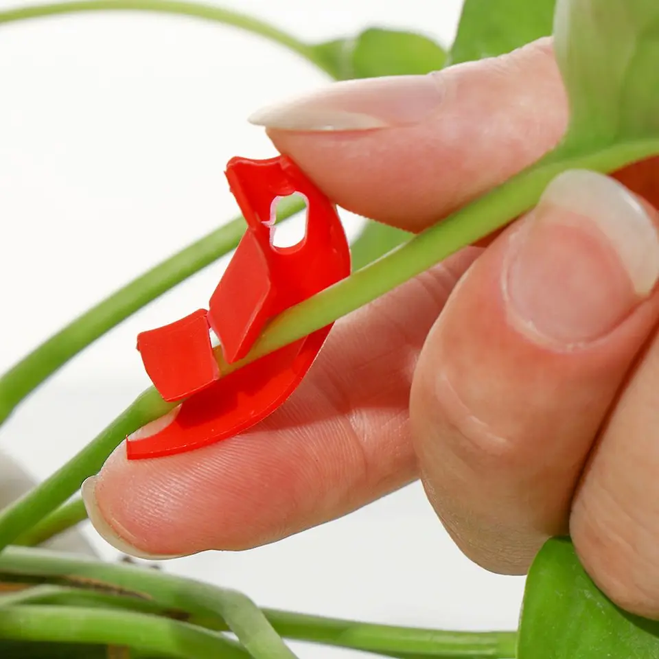 Clips Pour Plantes - Lot De 120, Pour Palissage Et Entraînement Des Tiges (LST)