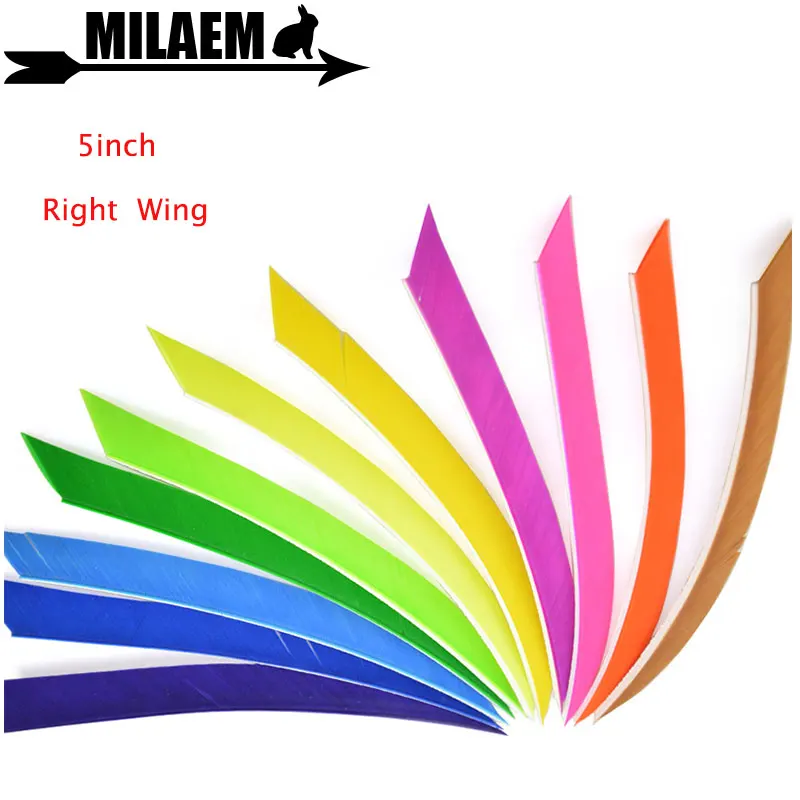 50pcs 5inch Archery Turkey Feather Right Wing Feather For Carbon Wooden Bamboo Arrow Shaft Arrow Fletching Shooting Accessories