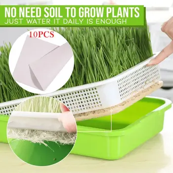 

Plastic Nursery Pots Seed Sprouter Tray Soil-Free Big Capacity Wheatgrass Grower Seedling Tray Sprout Plate Healthy Planting