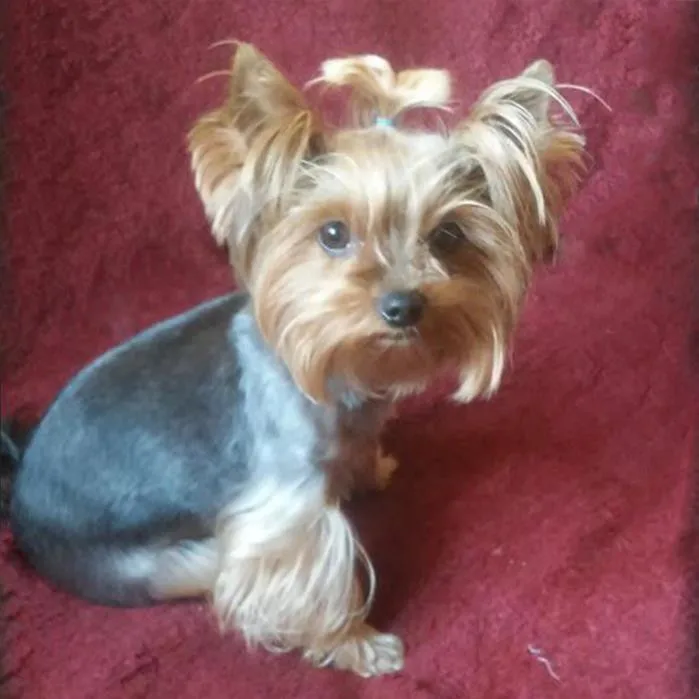 36020190318160504444