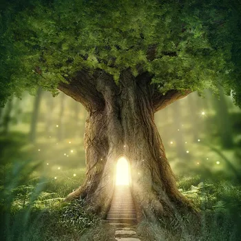 

Vinyl Photography Background Computed Printed Fairy Tale Vintage Castle Cinderella Children Backdrops for Photo Studio CM-6749