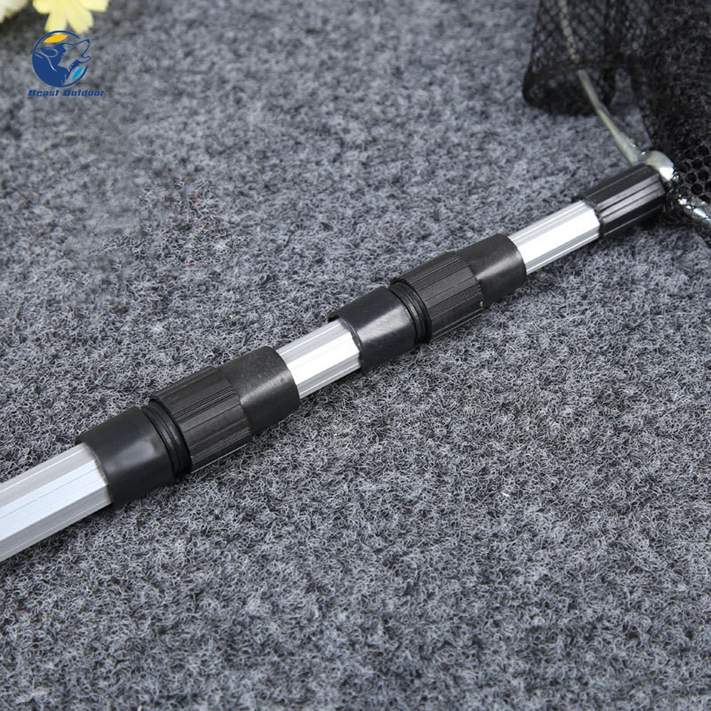 9515489808_1945748582